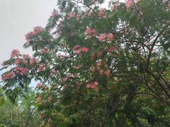 -同里国家湿地公园