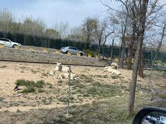 -秦皇岛野生动物园