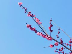 -艾溪湖湿地公园