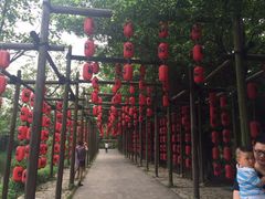 iphone_upload_pic-茂德公草堂
