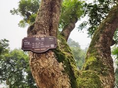 -张坝桂圆林公园