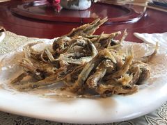 -宏顺佰渔庄(松花湖店)