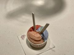 -Dal Cuore 达可芮冰淇淋(陕西北路店)