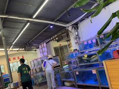 -八仔大富楼·河鲜(西江店)