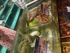 -强记海鲜·大排档(蛇口新街店)