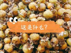-苗家特色土烙锅·老字号
