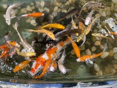 -和乐喜点(宝岗大道店)