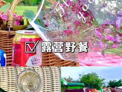 -丹樱生态园