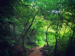 -碓臼峪自然风景区