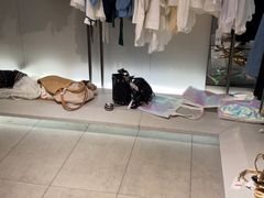 -ZARA(凯德乐峰广场店)