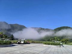 -大九湖
