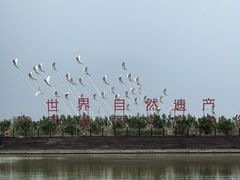 -南大港湿地风景区