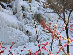 -黑龙潭风景区