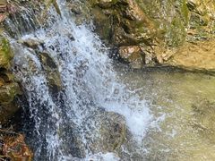 -南海湾森林生态园