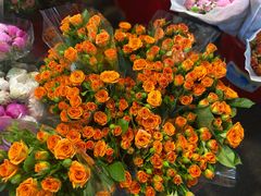 -循礼门鲜花花市(武汉循礼门店)