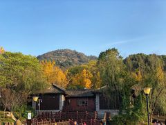 -白马涧龙池景区