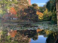 -北海道厅旧本厅舍(旧本庁舎)