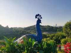-东莞植物园