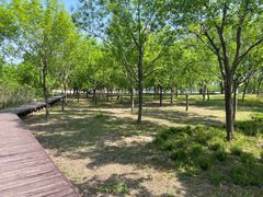 -东郊湿地公园