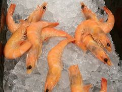 -顺德联塑万怡酒店·万荟轩自助餐厅