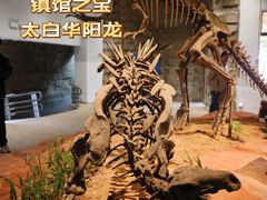 -自贡恐龙博物馆