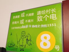 -老村长农家院