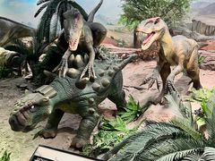 -国家自然博物馆