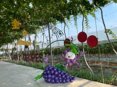 -金谷域澳洲庄园