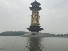 -溱湖国家湿地公园