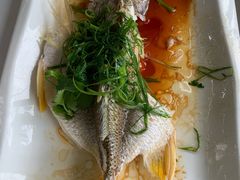 -八仔大富楼·河鲜(西江店)