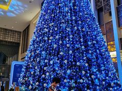 -常州富力喜来登酒店 Feast盛宴标帜西餐厅(新北万达广场店)