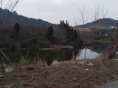 -秀丽东方