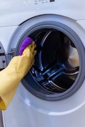 -海豚湾高端月子会所(黄浦店)