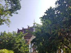 景点-西双版纳总佛寺