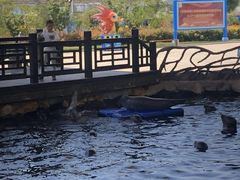 -华夏文旅海洋公园