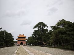-北陵公园