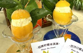 Signature Lemon Ice Cream