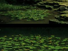-虎跑公园