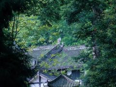 -青城山