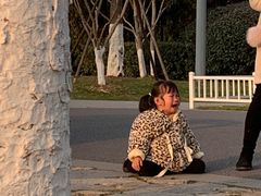 -泸溪河桃酥(秦淮夫子庙一店)
