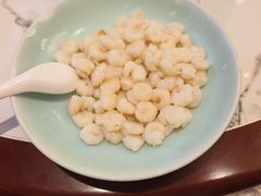 -富春茶社(国庆路店)