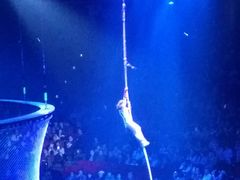 -珠海横琴长隆《卡卡虎奇遇记》