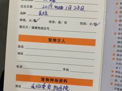 -乐派堂宠物医院·猫友好· 心脏科(东街店)