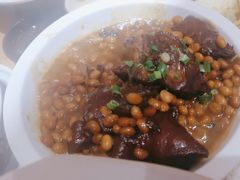 -鸽子窝(宋庄店)