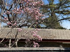 -熙春园餐厅
