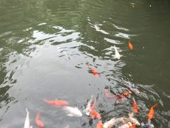 -东部华侨城
