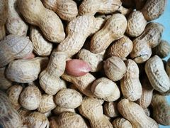 转炉小花生-秋栗香(地安门店)