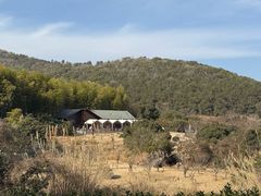 -龙寺生态园