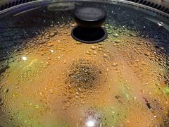 -挂雪铁锅炖大鹅