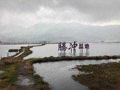 -腾冲北海湿地